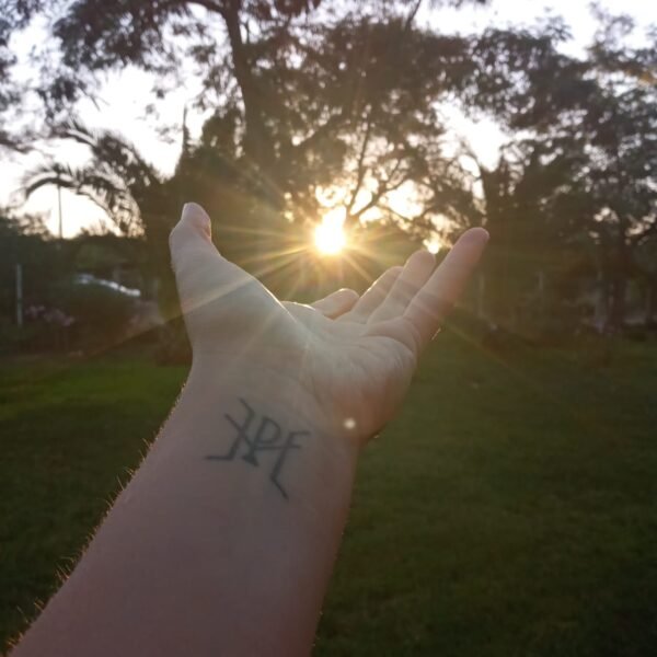 Sanación energética con Reiki - Imagen 3