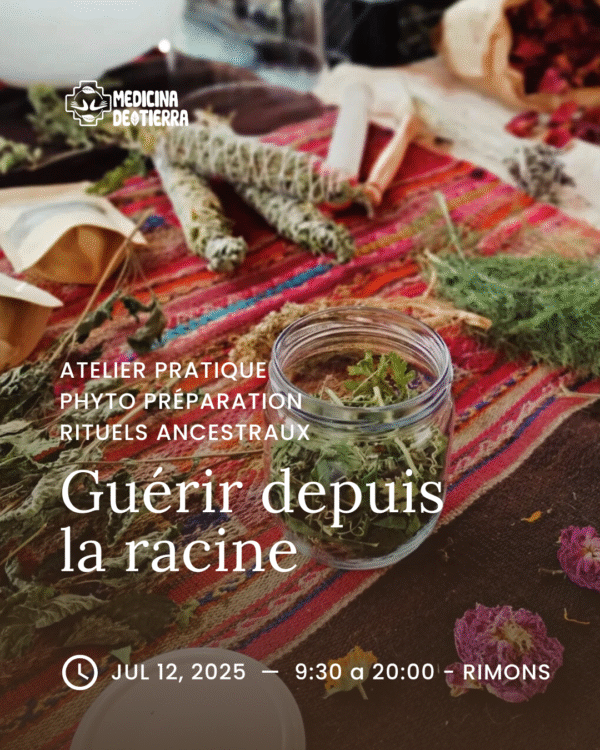 Guérir depuis la racine – Image 4